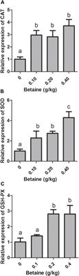Betaine Regulates the Production of Reactive Oxygen Species Through Wnt10b Signaling in the Liver of Zebrafish
